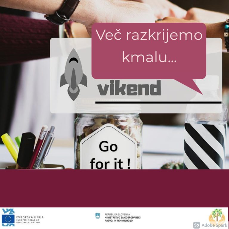 Startup-vikend