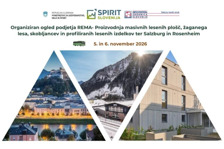 Ekskurzija lesarji podjetje Rema 5_6